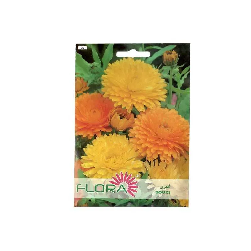 FLEUR SOUCI FLORA