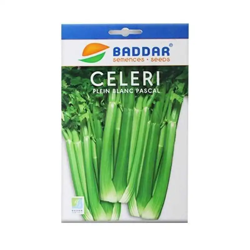 SEMENCES