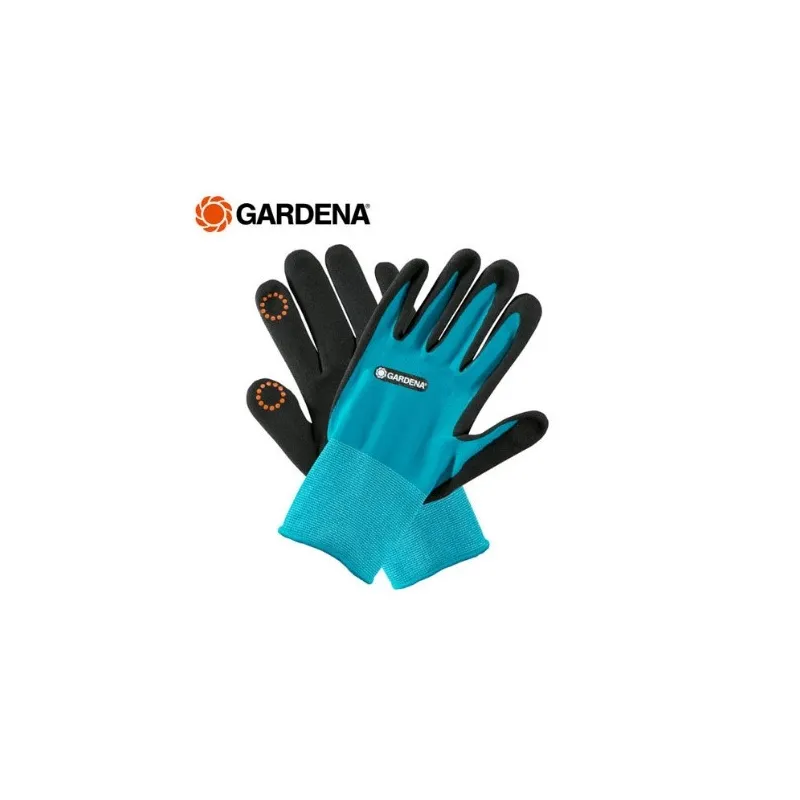 GANTS